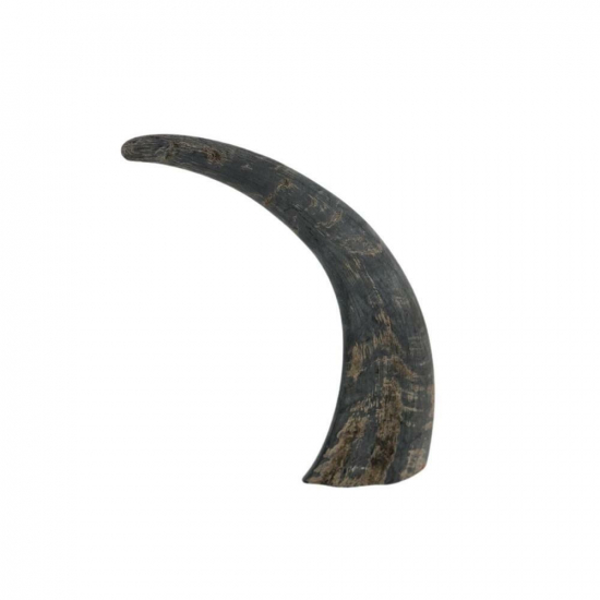 Bivaly szarv 25cm fekete