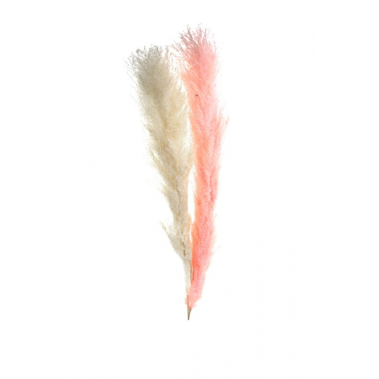 Dekorág nád 140 cm pink/natúr