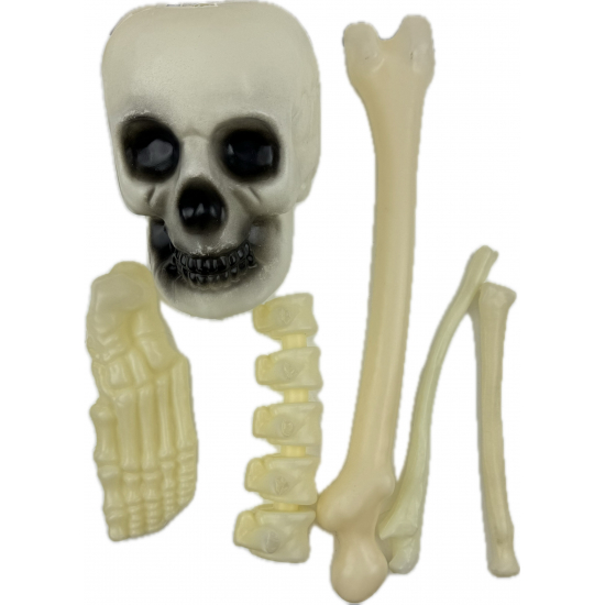 Figura csontváz szett fehér