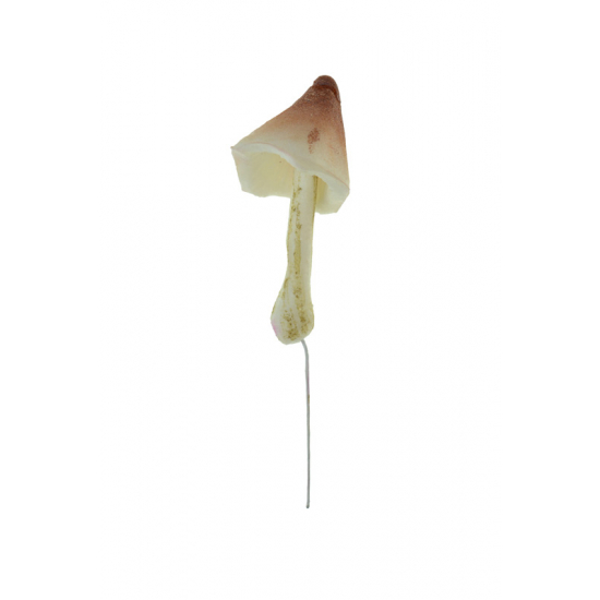 Gomba hab 3.5×8cm barna