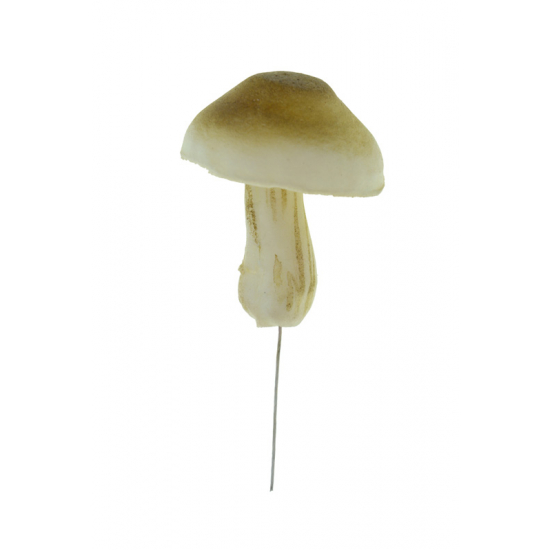 Gomba hab 5.5×7.5cm barna