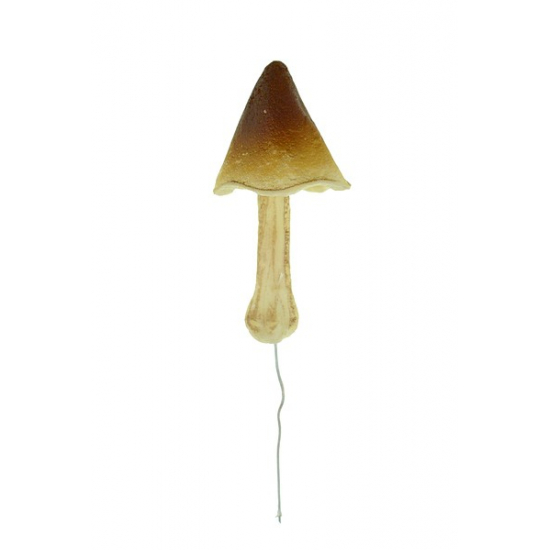 Gomba hab pikk 3.5cm barna