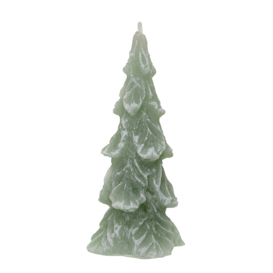 Gyertya fenyő 13,5cm menta