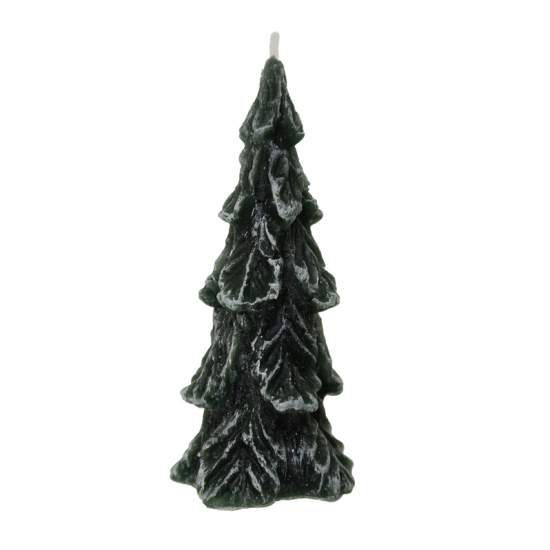 Gyertya fenyő 13,5 cm zöld