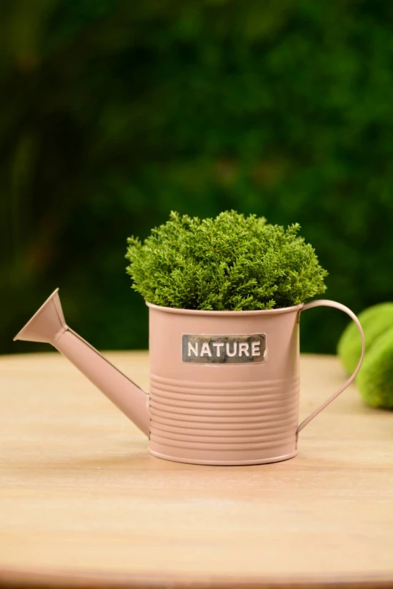 Kanna fém 10.5*H10.5cm nature felirattal púder