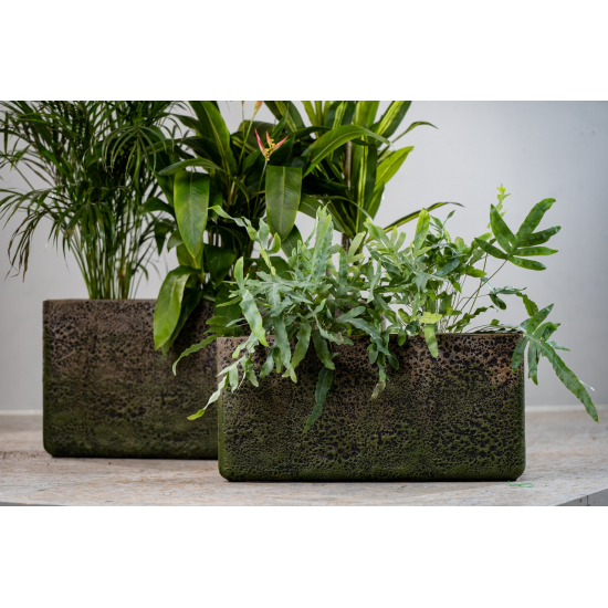 Kaspó poli/műgyanta 74*24,5*34 Gili mohazöld