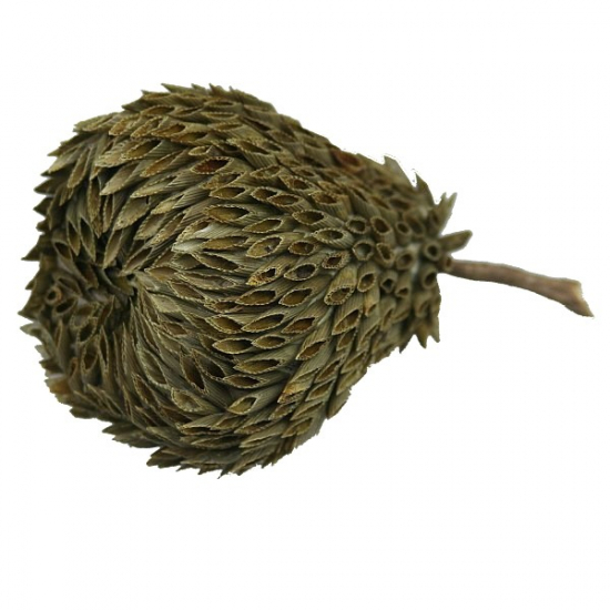 Körte fű 8*13cm natúr Zmrst