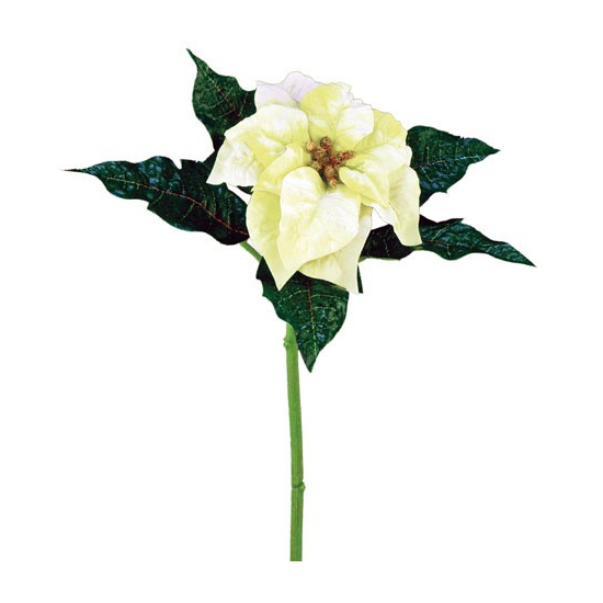 Mikulásvirág Medium 30cm
