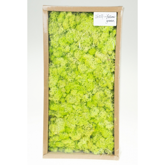 Moha 500g világos zöld