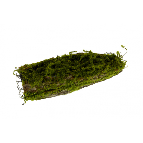 Fatörzs mohás 27cm zöld