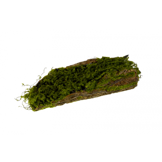 Fatörzs mohás 35cm zöld