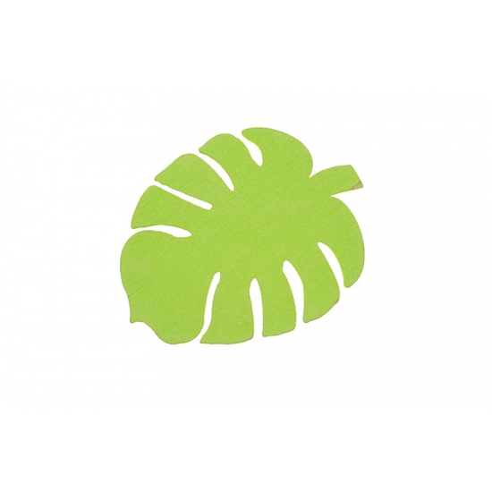 Monstera levél fa 5cm s/18 zöld