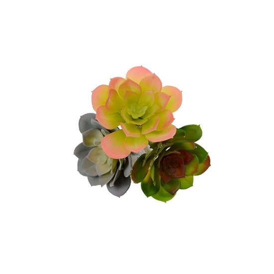Műnövény pozsgás 10*9cm
