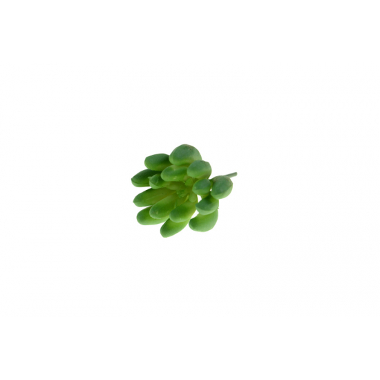 Selyemvirág pozsgás 3*5,5cm több szín