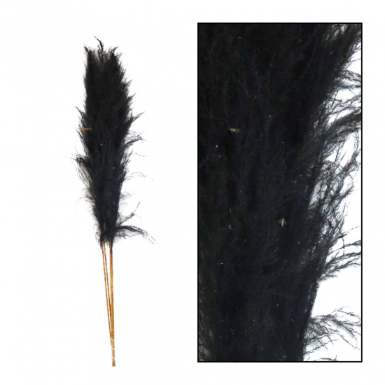 Pampafű 160cm s/5 fekete