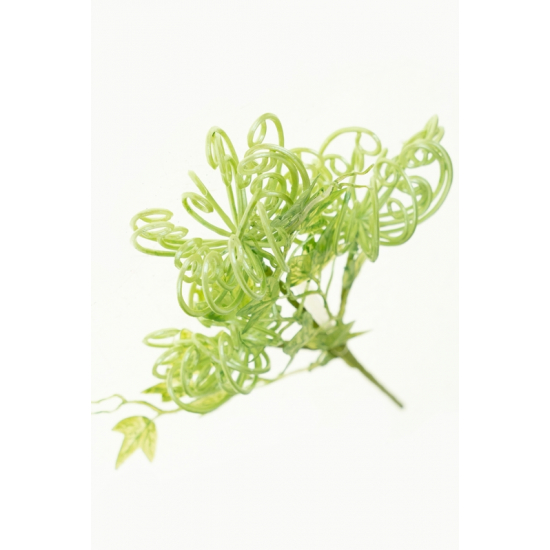 Pick ág gumós 28cm zöld