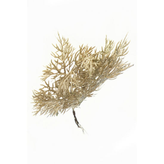 Pick apró leveles ág 20cm bronz
