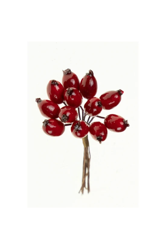 Csipkebogyó pick