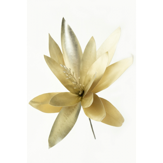 Pick echeveria 28cm fényes pezsgő