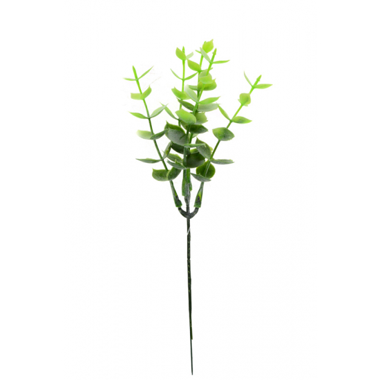 Pick eukaliptusz 25cm zöld