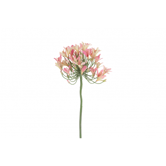 Selyemvirág agapanthus 90cm rózsaszín