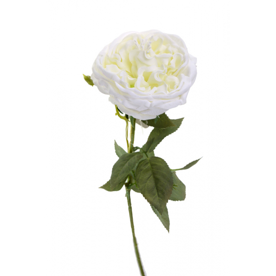 Selyemvirág angol rózsa 62cm fehér