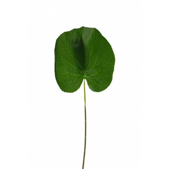 Selyemvirág begónia levél 50cm zöld