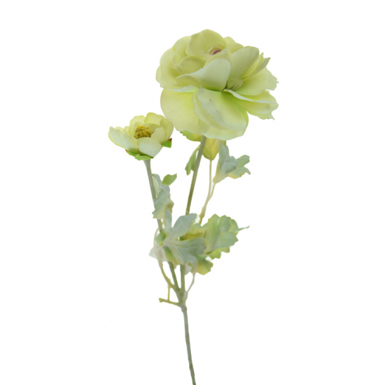 Selyemvirág boglárka 2fej 50cm krém