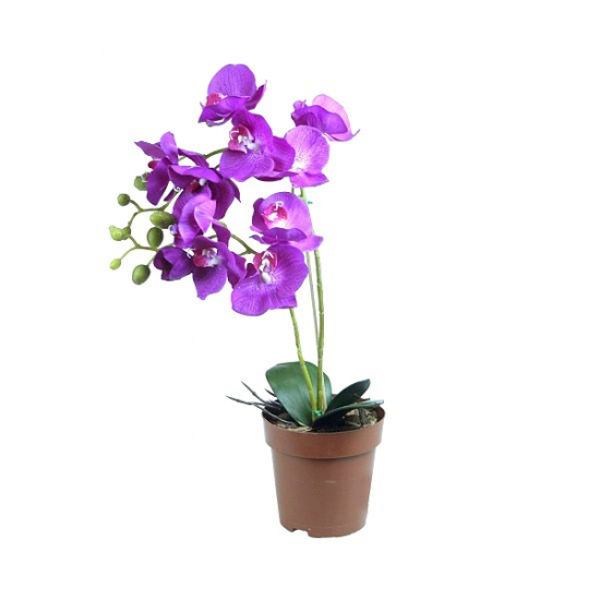 Selyemvirág phalaenopsis gumi 45cm cserepes több szín