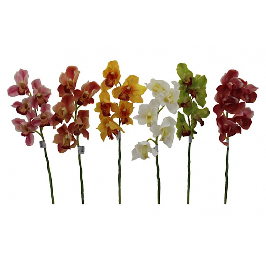 Selyemvirág csónakorchidea 60cm 5fej krém