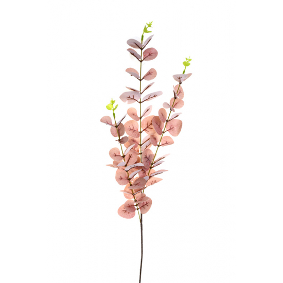 Selyemvirág eukaliptusz 82cm barna