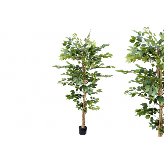 Selyemvirág fikusz cserepes 180cm zöld