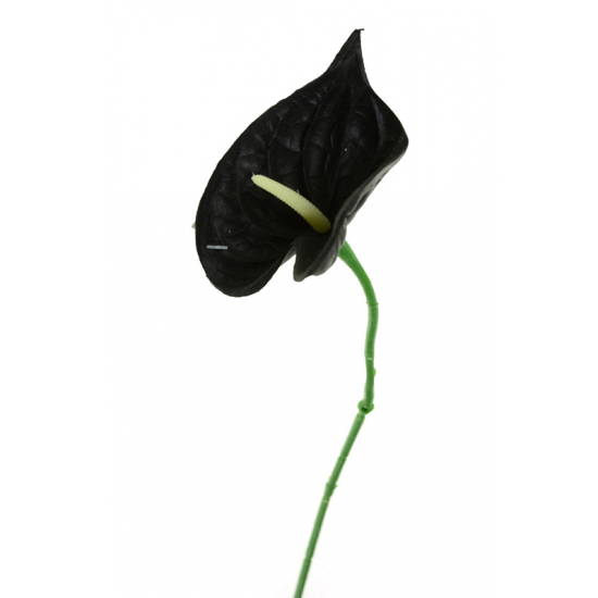 Selyemvirág flamingó szál 31cm fekete