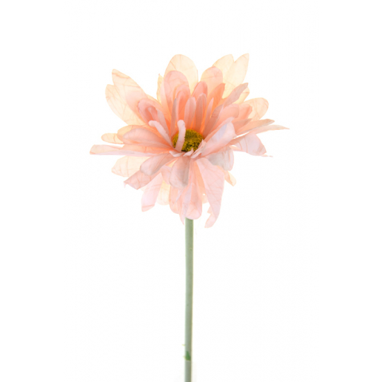 Selyemvirág gerbera 1szálas 55cm barack