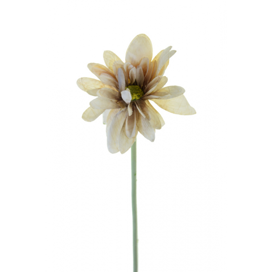 Selyemvirág gerbera 1szálas 55cm ekrü