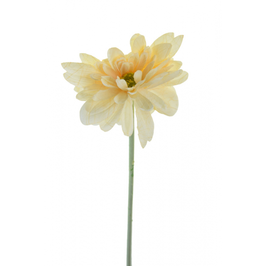 Selyemvirág gerbera 1szálas 55cm krém