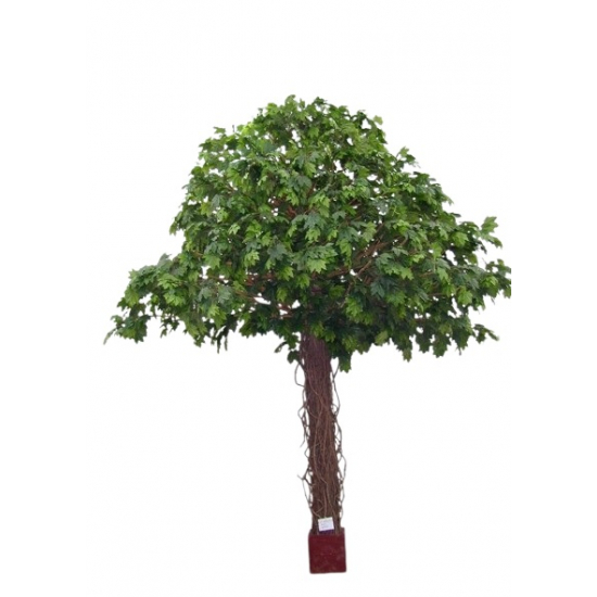 Selyemvirág juharfa 420cm zöld