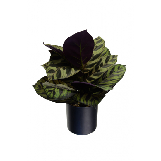 Selyemvirág kaspóban 38cm zöld/világos zöld