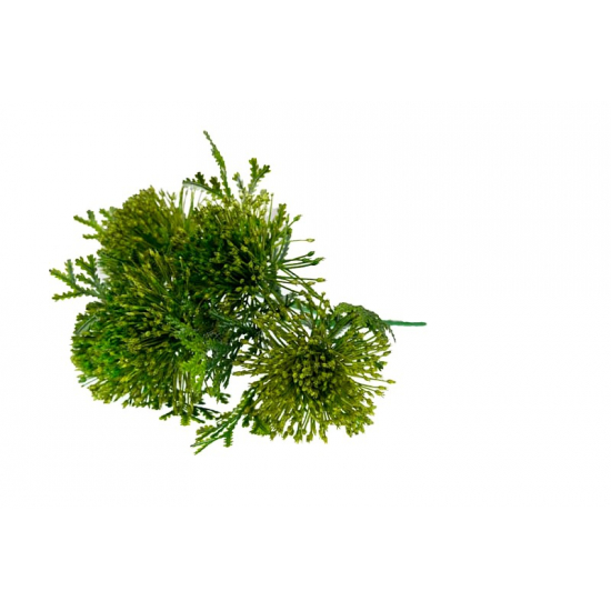 Selyemvirág leucospermum(tűpárna) csokor zöld