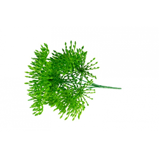 Selyemvirág leucospermum (tűpárna) csokor zöld