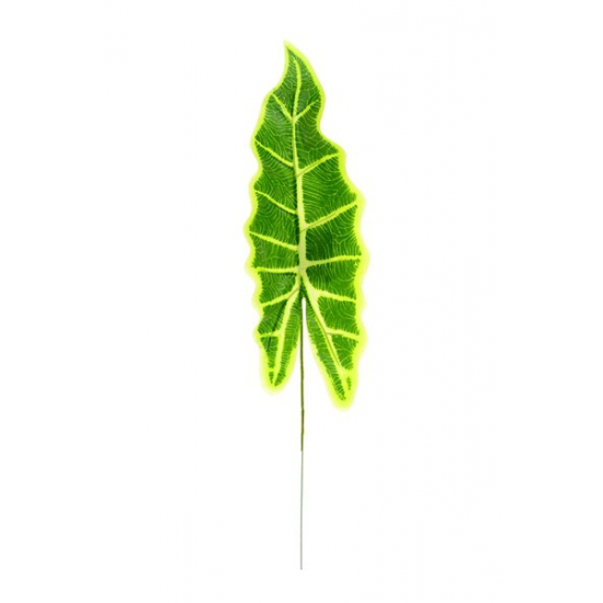 Selyemvirág alocasia levél 34*12 H47cm s/10 zöld