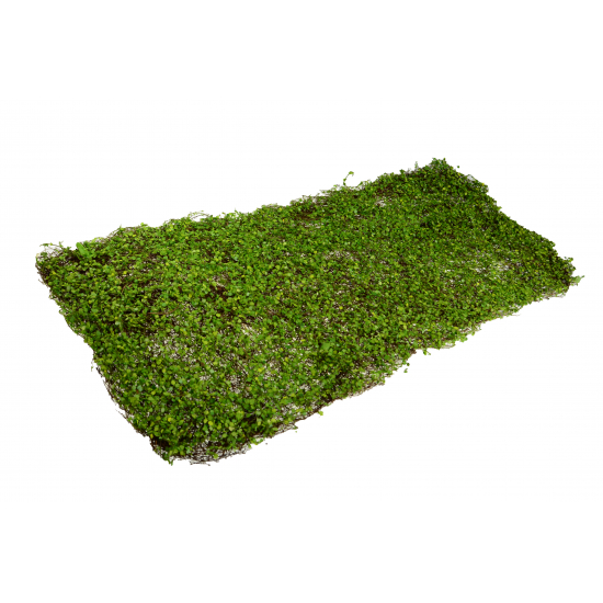 Selyemvirág szőnyeg apró leveles 40*60cm zöld/barna
