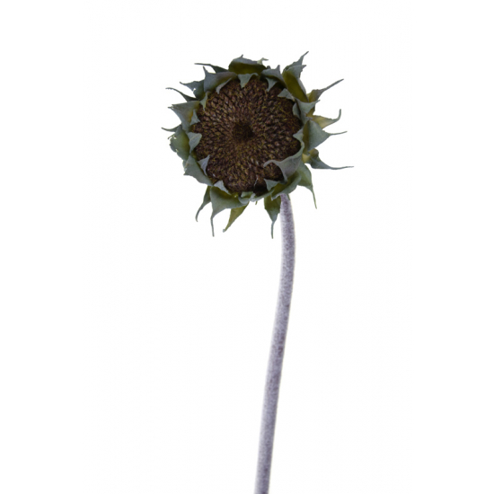 Selyemvirág napraforgó 1szálas 59cm barna