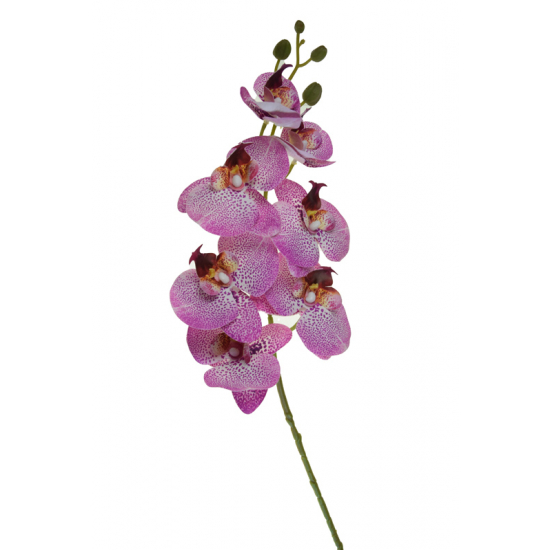 Selyemvirág ochidea 77cm fehér/pink