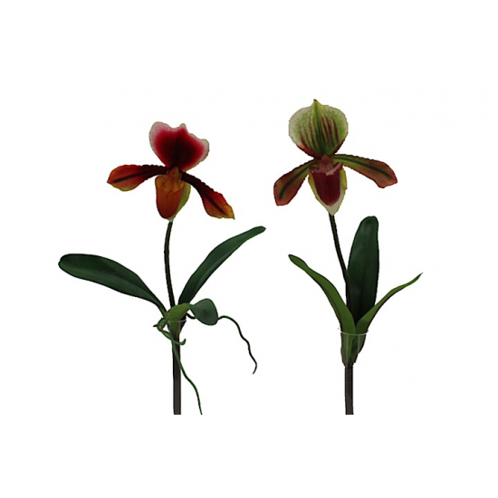 Selyemvirág orchidea 40cm korall