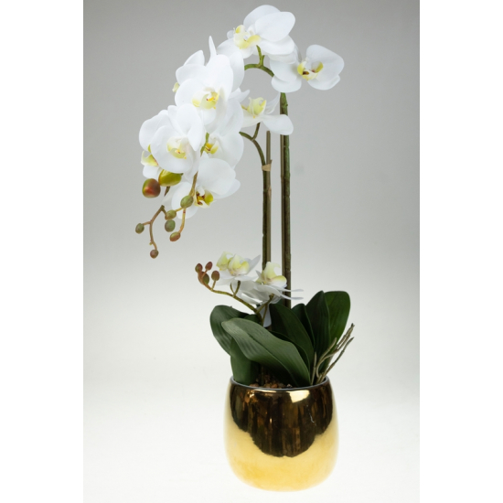 Selyemvirág orchidea arany cserepes 55cm fehér