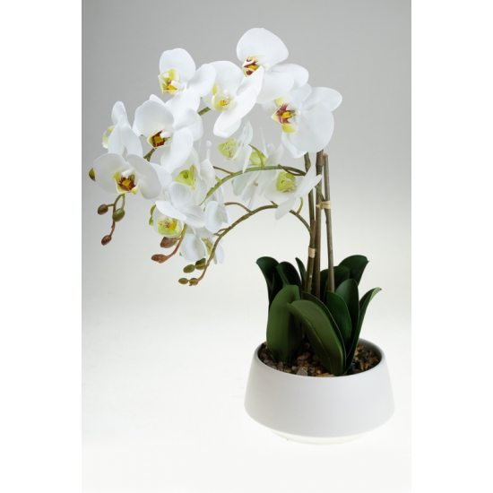 Selyemvirág orchidea cserepes 48cm fehér