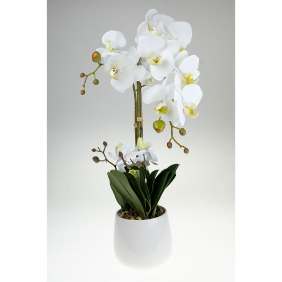 Selyemvirág orchidea cserepes 55cm fehér