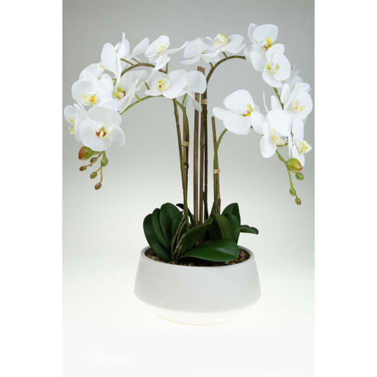Selyemvirág orchidea cserepes 57cm fehér