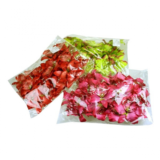 Selyemvirág orchidea fej 9cm s/24 több szín